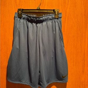 Nike Dri-FIT Blue Performance Shorts